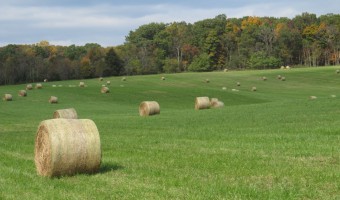 Wordless Wednesday: Fall in Virginia