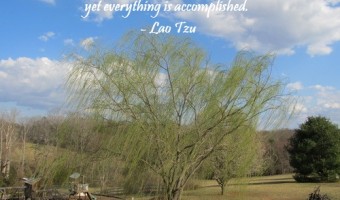 Thursday Thought: Nature’s Accomplishments