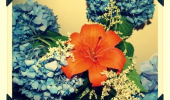 Wordless Wednesday: Grandma’s Flowers