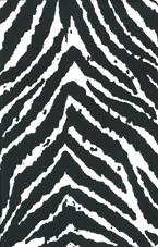 zondervan-fall-2012-zebra