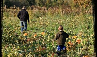 Pumpkin Patch Visit 2012: Miller Farms Market