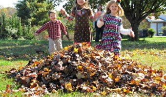 Fall Time: Playing in the Leaves