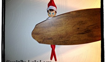 Elf on the Shelf 2012: Day 17