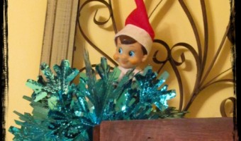 Elf on the Shelf 2012: Day 12