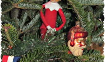 Elf on the Shelf 2012 – Day 19