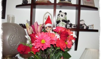 Elf on the Shelf 2012 – Day 25