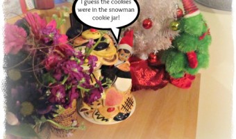 Elf on the Shelf 2012 – Day 26