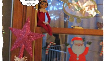 Elf on the Shelf 2012 – Day 30 — Goodbye!