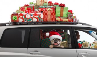Holiday Travel Safety Tips from LifeLock