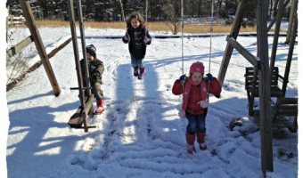 A Virginia Snow Day – January 2013