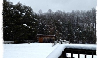 More March Snow in Virginia