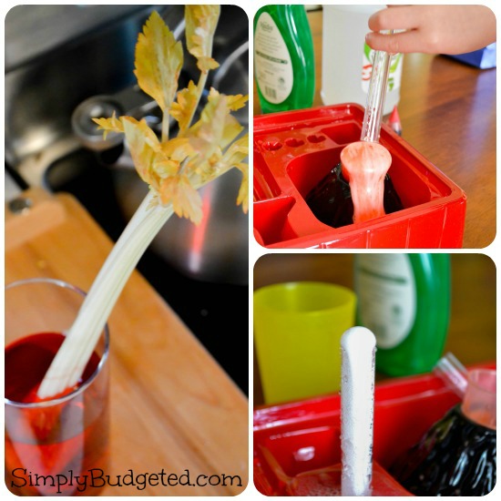 Clifford Kitchen Science Kit - In Action