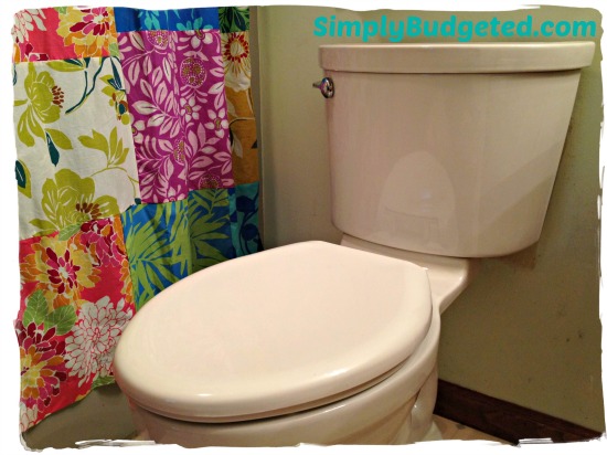 American Standard Champion PRO Toilet Review
