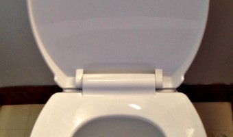 Delta Corrente Water Saving Toilet