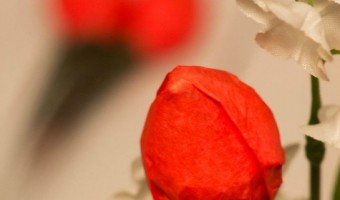 Valentine’s Hershey Kiss Roses