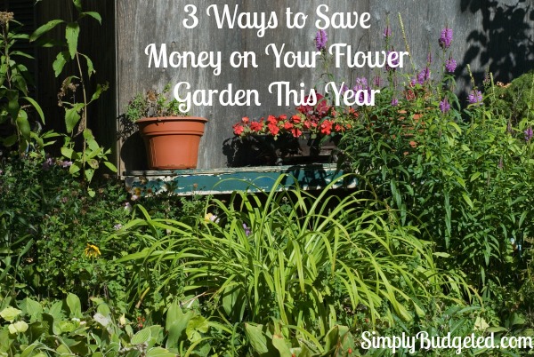3 ways to save money on your flower garden this year