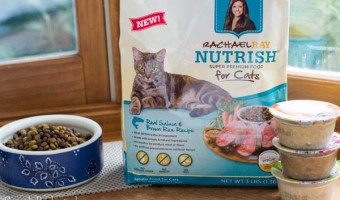 Healthy Cat Food for our Purr-fect Family Members