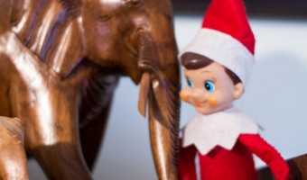 Elf on the Shelf: Day 16 Elephants Big and Small