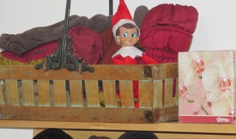 Elf on the Shelf: Day 8