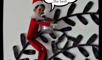 Elf on the Shelf 2012 – Day 29