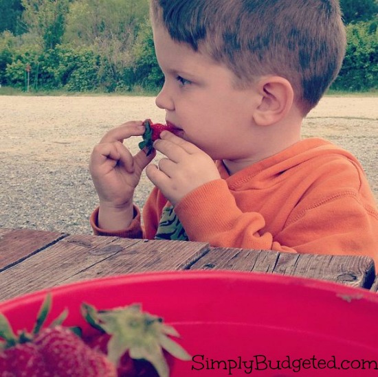 Matthew LOVES Strawberries