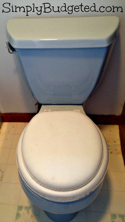 Old Blue Toilet