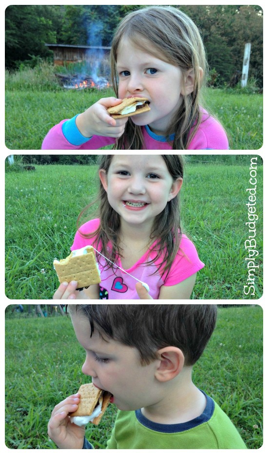 Backyard S'mores Collage