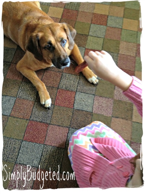 Grace giving Buddy a healthy dog treat