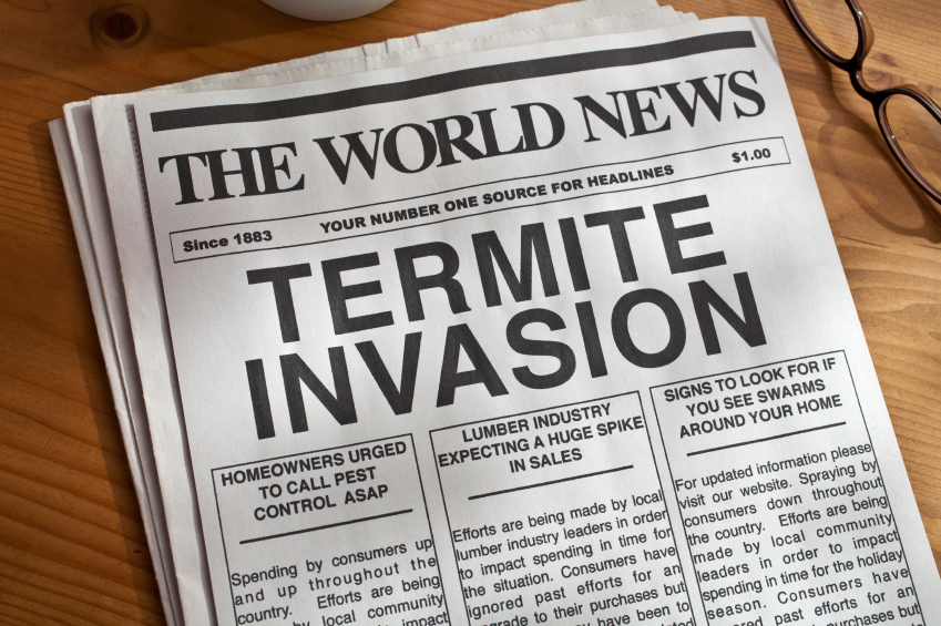 termite-invasion