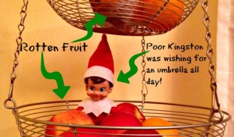 Elf on the Shelf: Day 3 Rotten Fruit