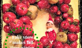 Elf on the Shelf: Day 4 Still Fall with Fake Apples