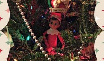 Elf on the Shelf: Day 6 In the Tree
