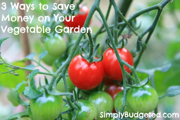 3 ways to save money on your vegetable garden