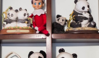 Elf on the Shelf: Day 13 Panda Friends