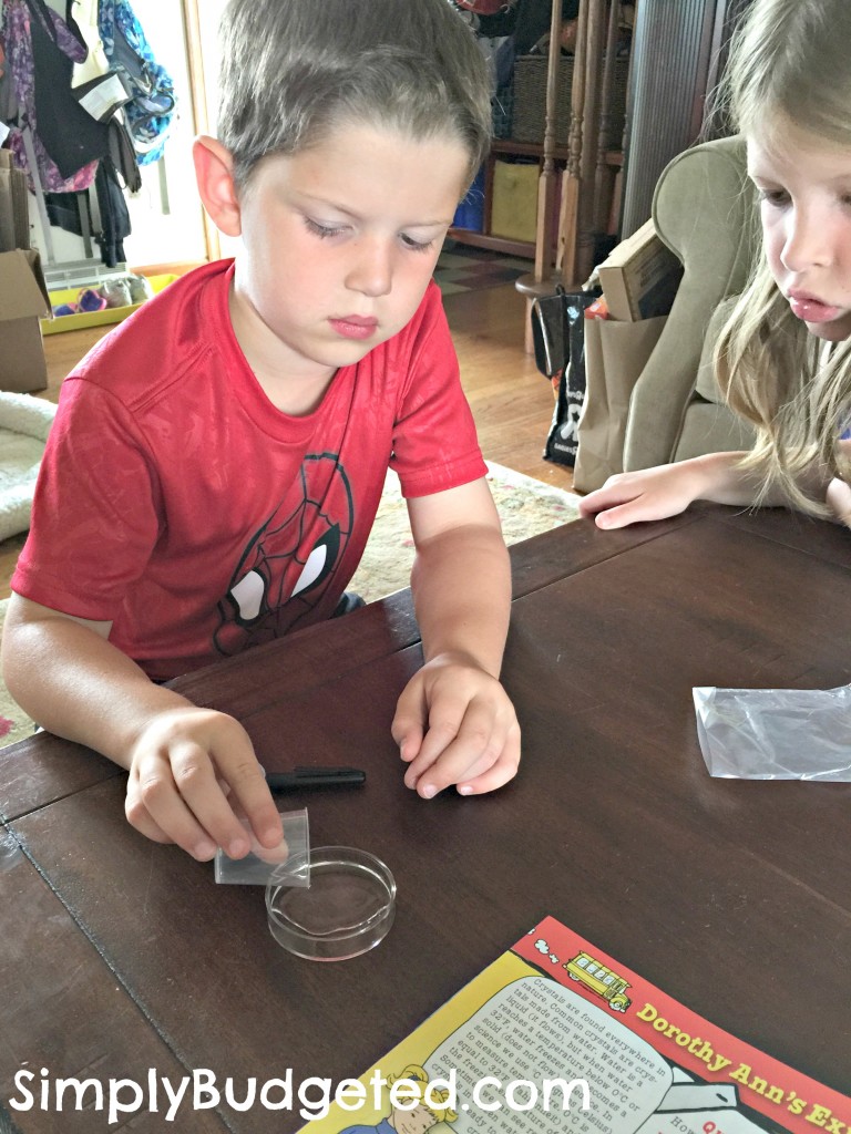 Young Scientist Club - Crystal Project water